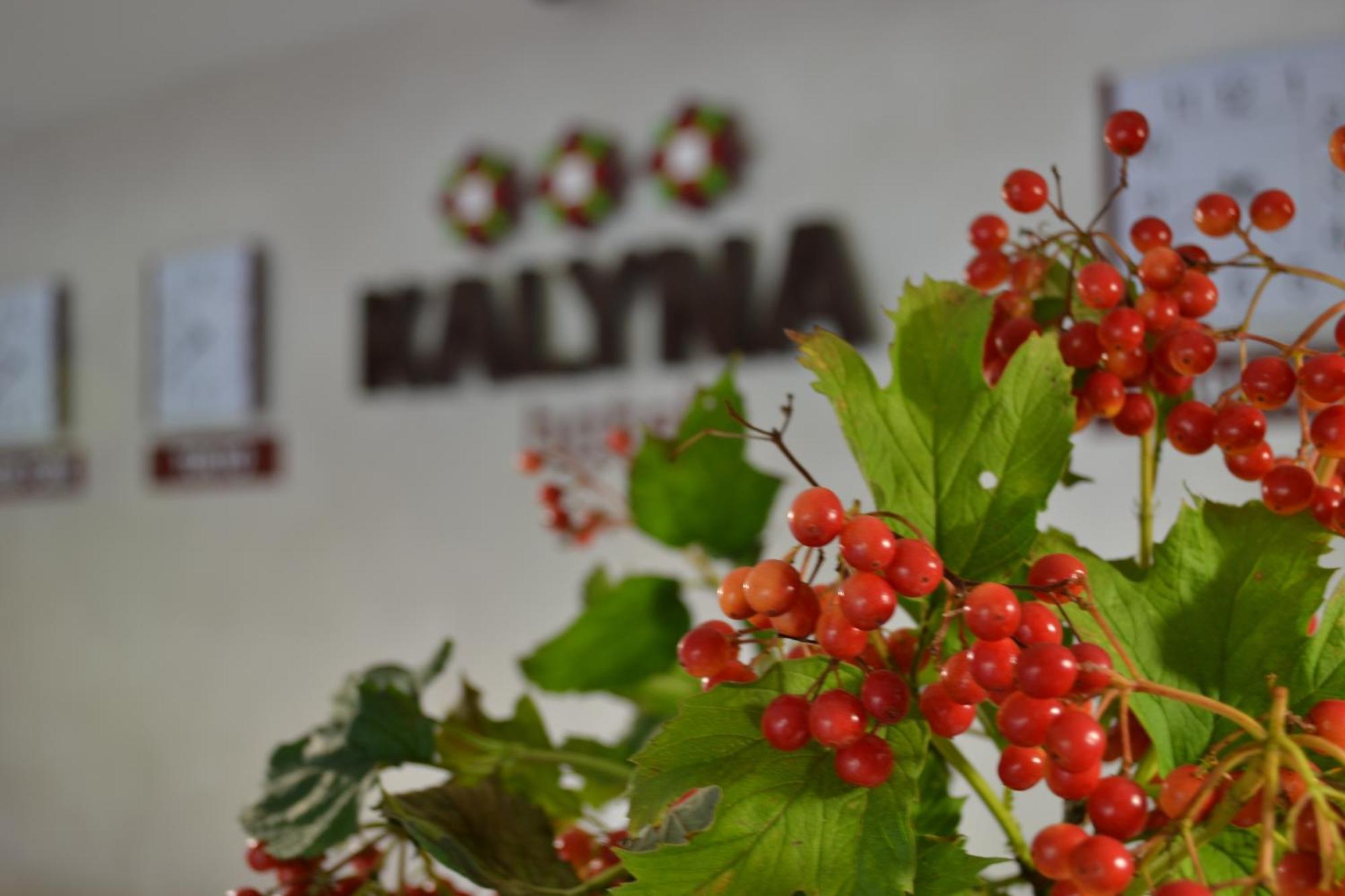 Hotel Kalyna Kharkov Luaran gambar